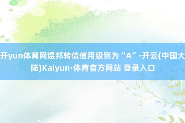 开yun体育网煜邦转债信用级别为“A”-开云(中国大陆)Kaiyun·体育官方网站 登录入口